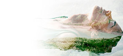 Fondo-armonia-piel-naturaleza-movil Imagen de fondo naturaleza